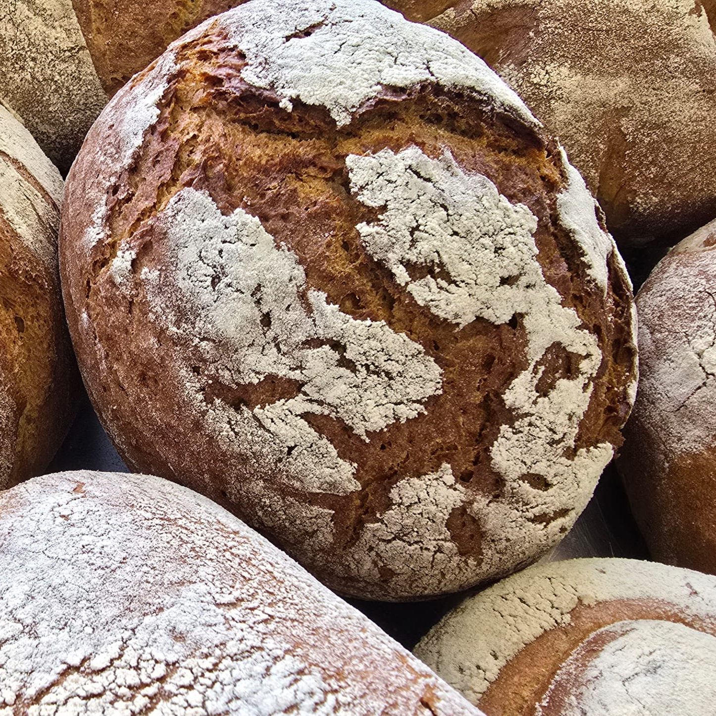 verschiedene Brotsorten, Fokus auf ein dunkles, bemehltes Brot mit knuspriger Kruste